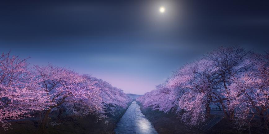 River of Funakawa surrounded by purple trees with Moon in background