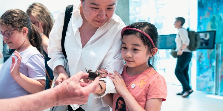 A child holds her mother's arm as they both peer curiously at a small crab held in front of them