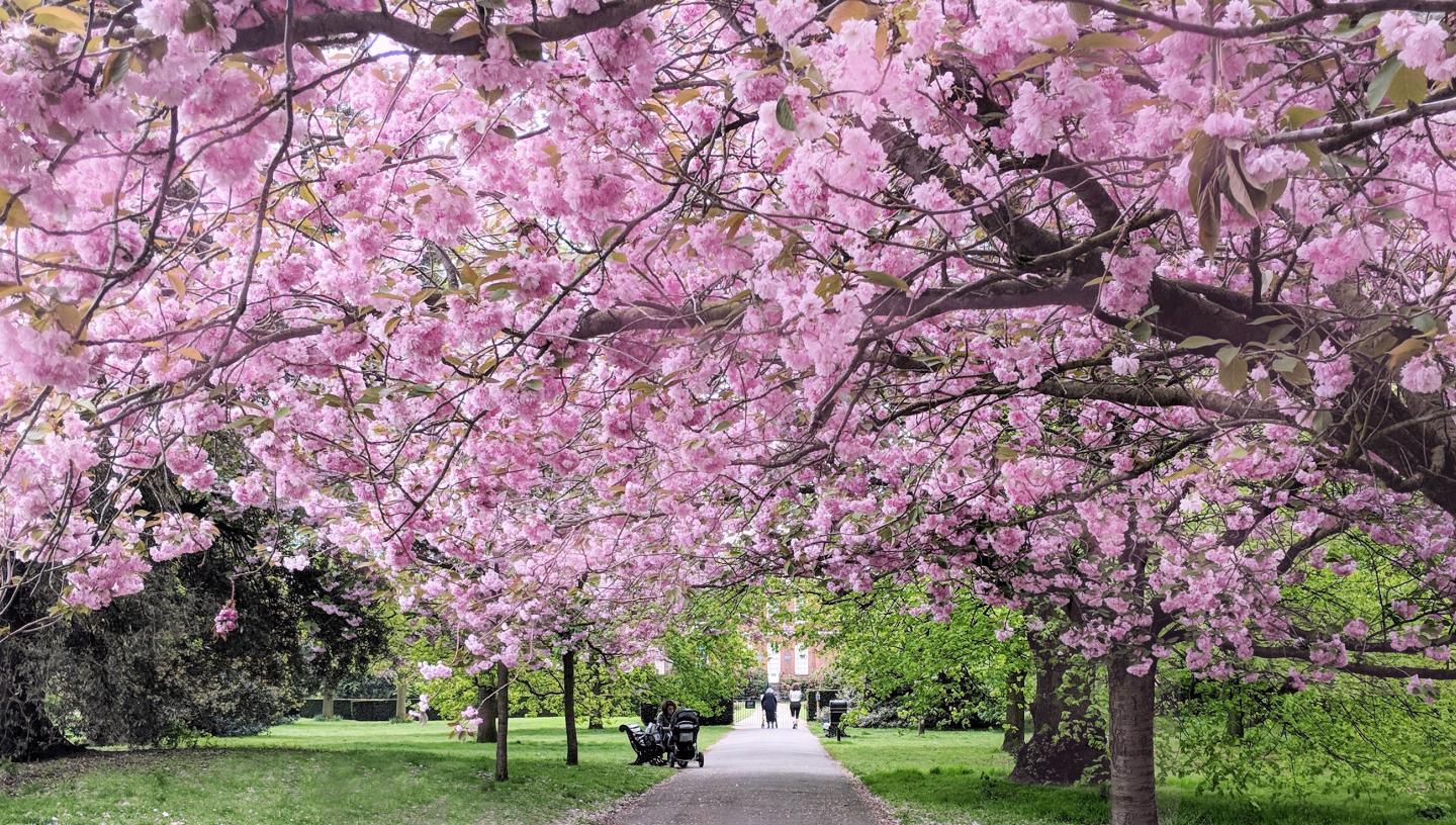 Visit Greenwich | An Historic Day Out In London