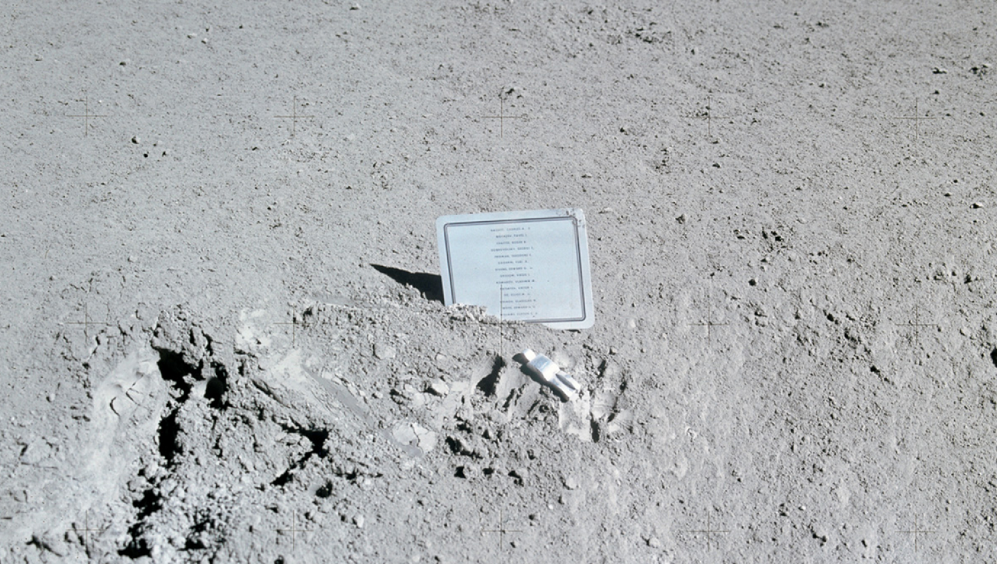 Dead Roaches That Ate Moon Dust Went Up for Auction. Then NASA Objected. -  The New York Times