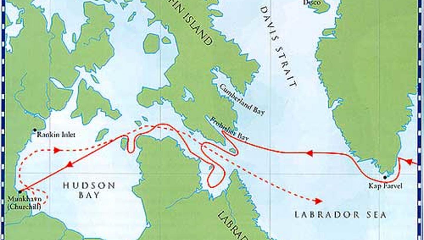 Western Hudson Bay – Where We Work – Oceans North