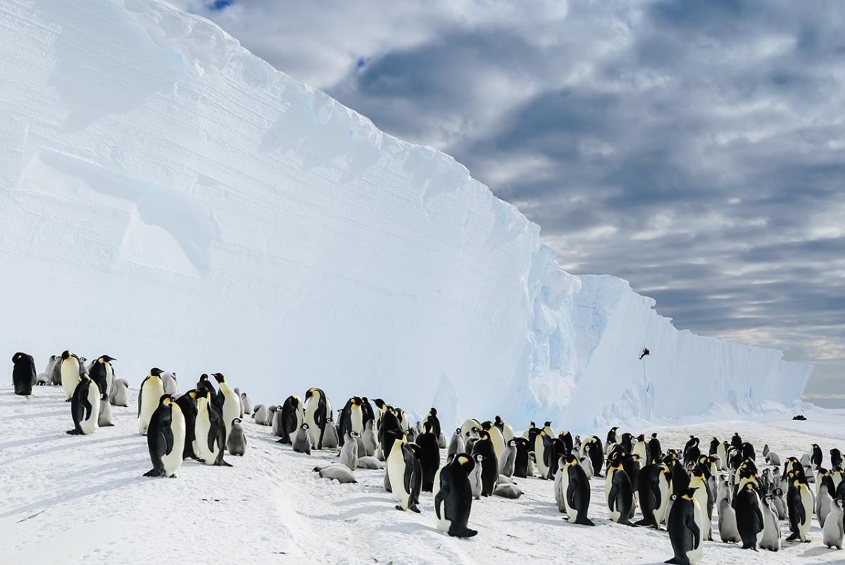 Surviving the Antarctic | Royal Museums Greenwich