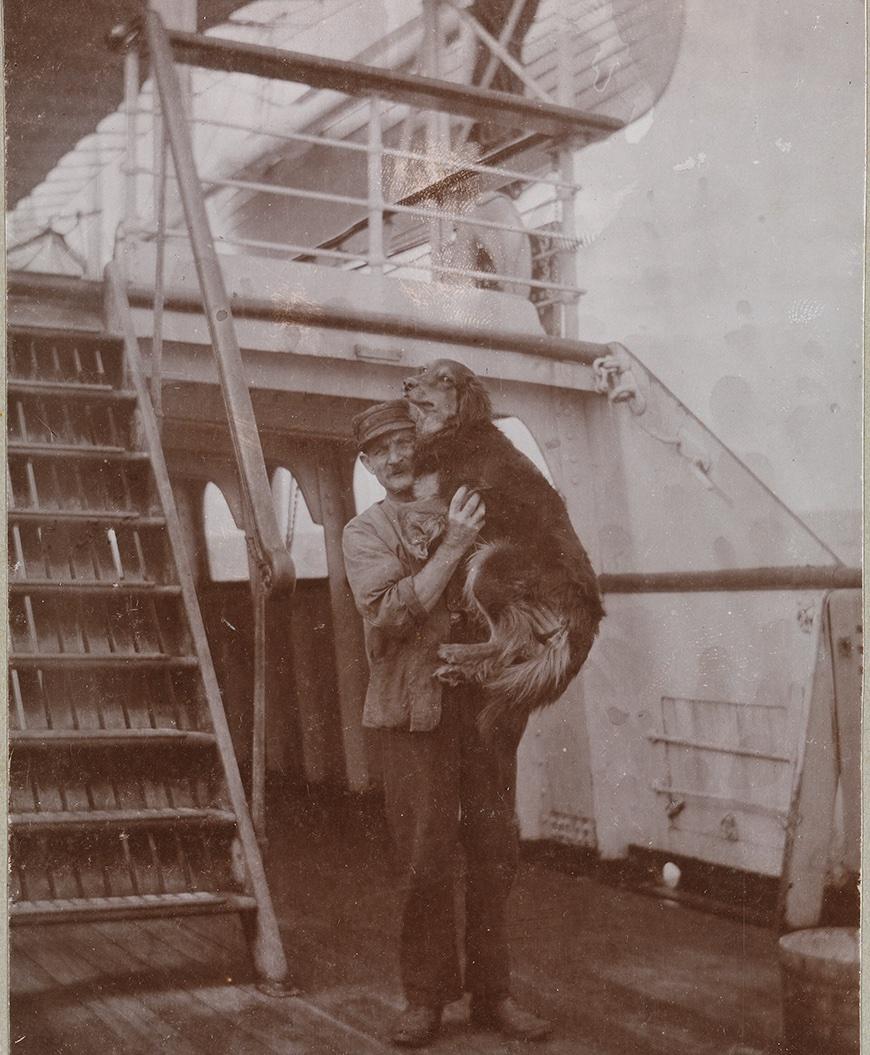 Scot the Collie dog in the arms of 'Lamps' on board the Raglan Castle (ALB0635.194)