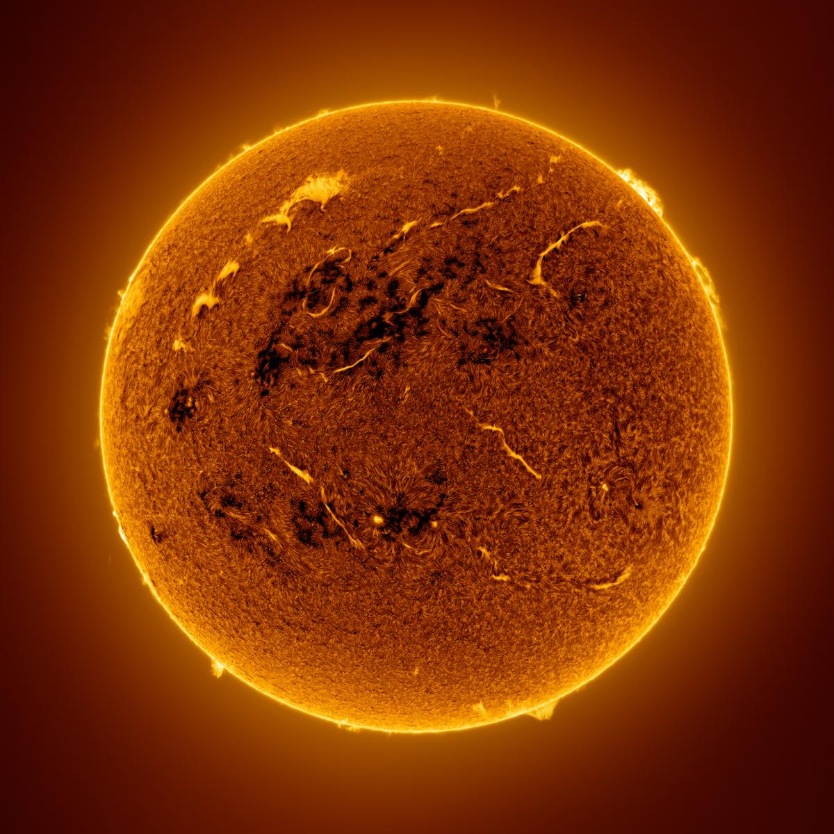 Image of the Sun which is a round ball of dark orange, with darker plumes coming off it which are solar prominences. Around the edge of the Sun is golden