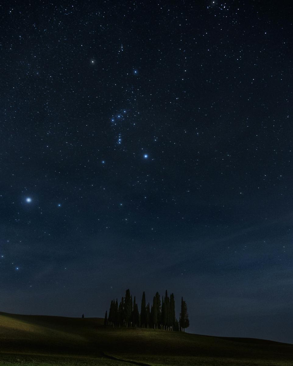 Image of starry night sky above a pastoral landscape with trees, in the sky is the constellation of Orion and a very bright star called Sirius