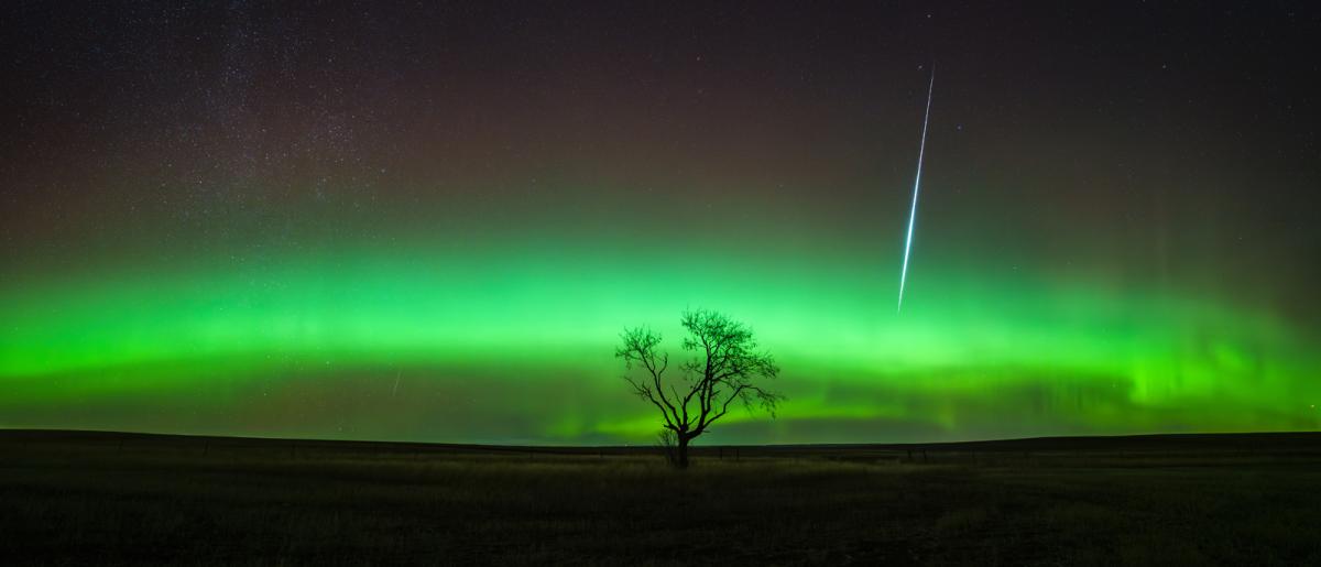 A giant meteor cuts through a green aurora band stretching above the silhouette of a tree