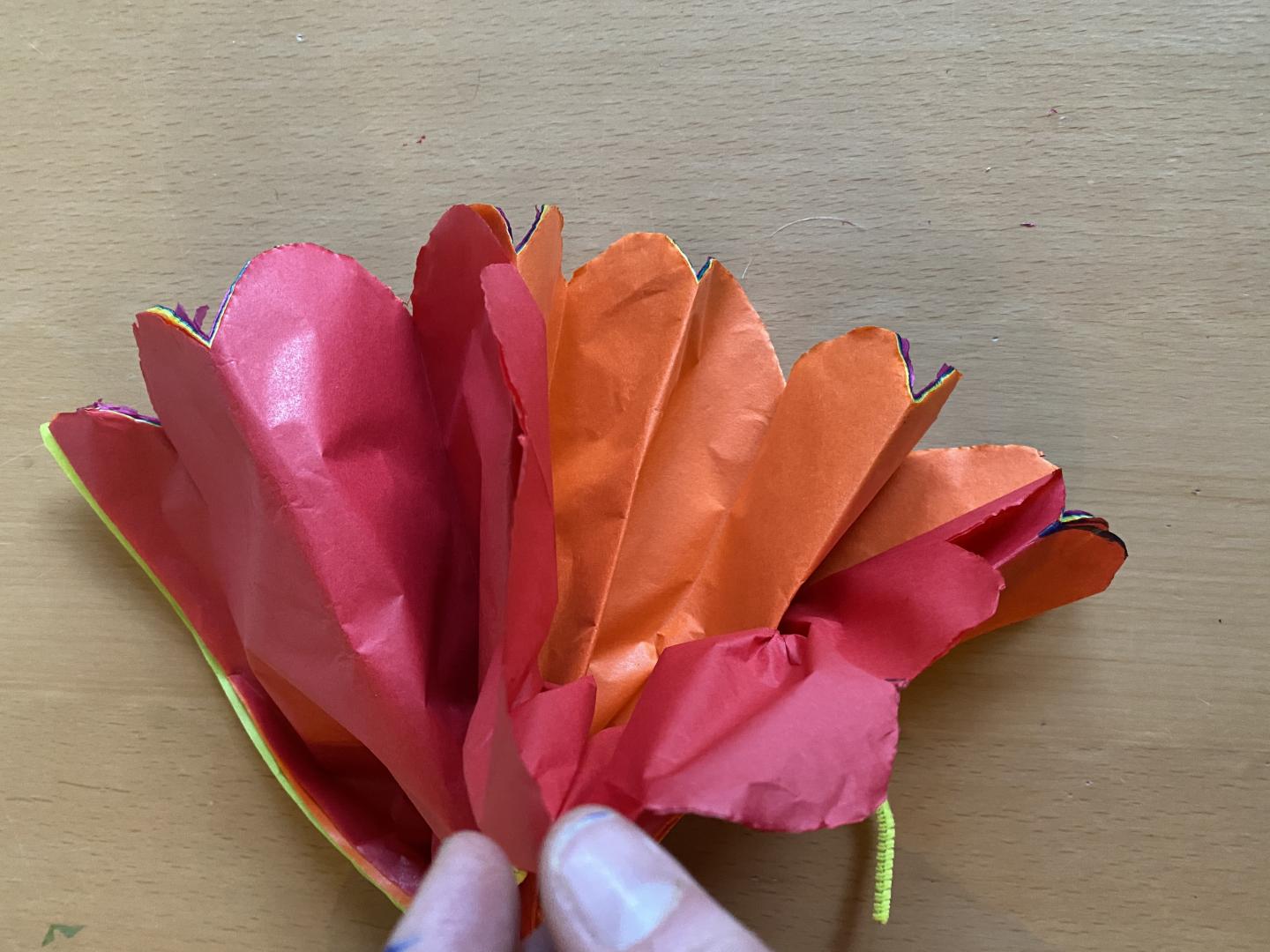 Close up of concertina tissue paper fan