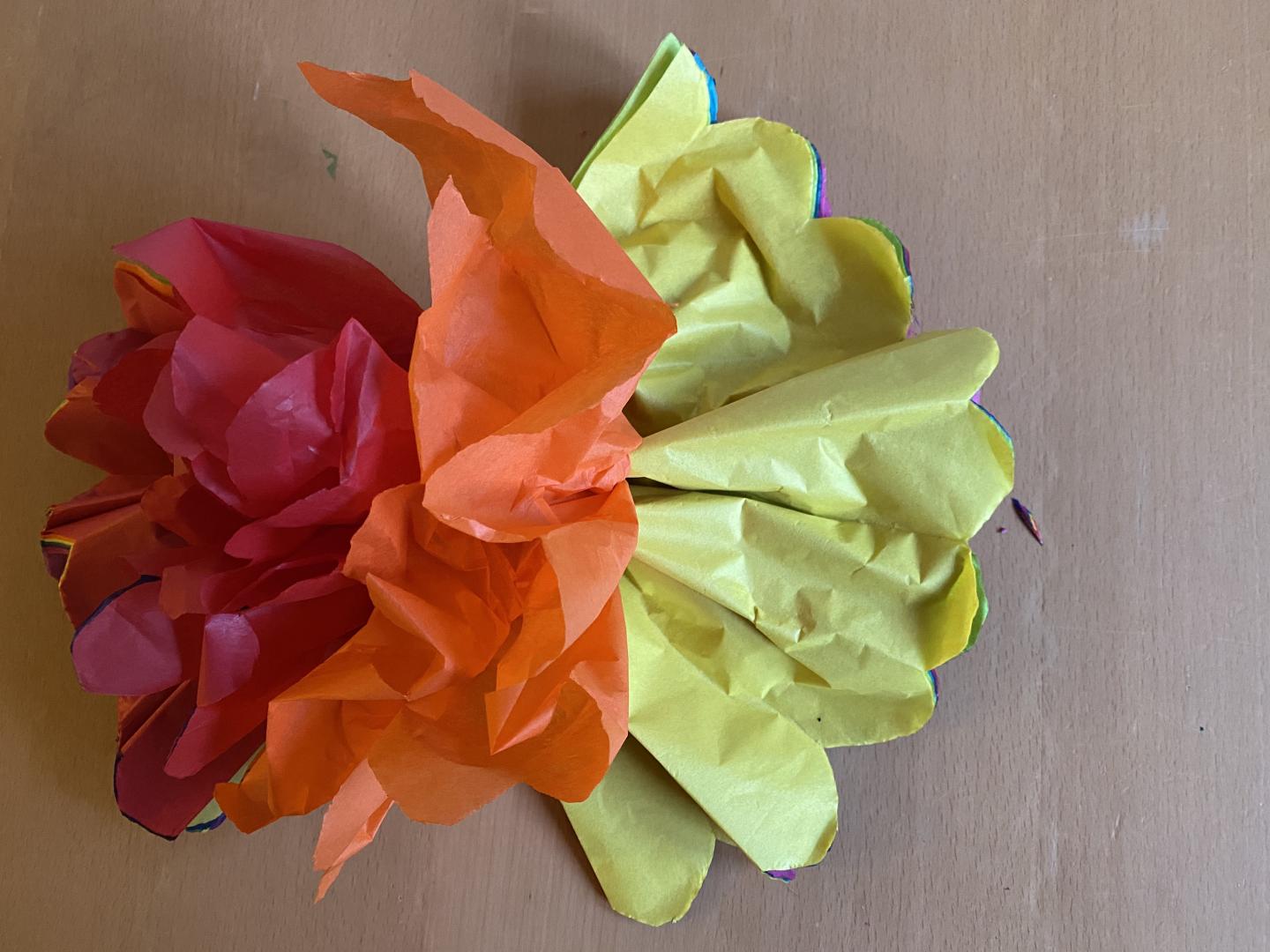 Coloured pom pom with pulled up layers of tissue paper