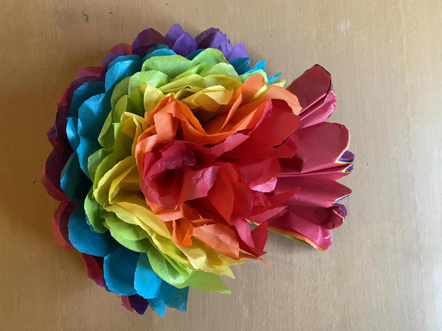 Multi coloured pom pom with tissue fluffed up