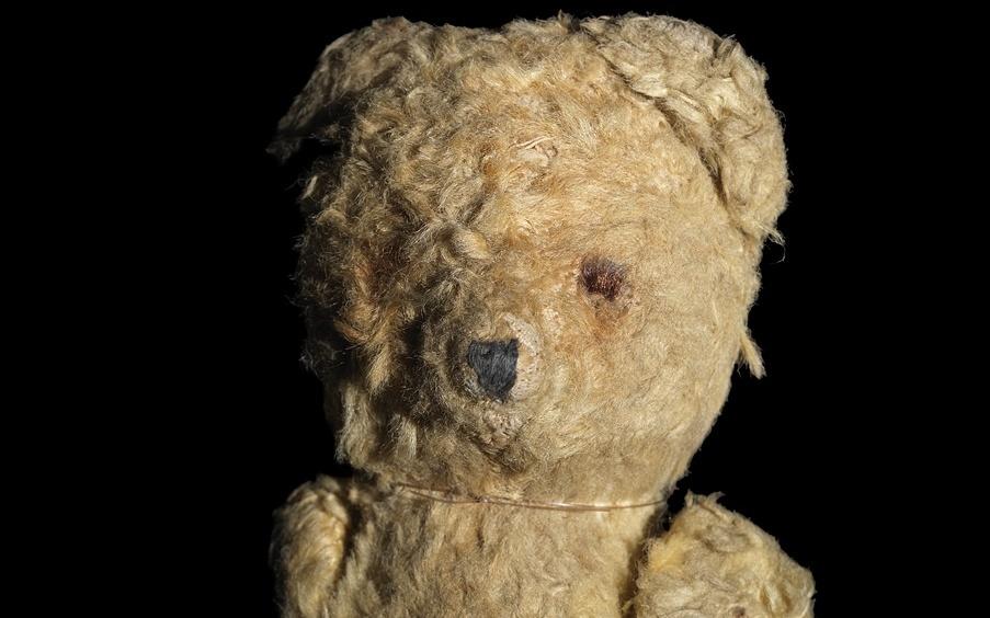 Damaged bear on a black background