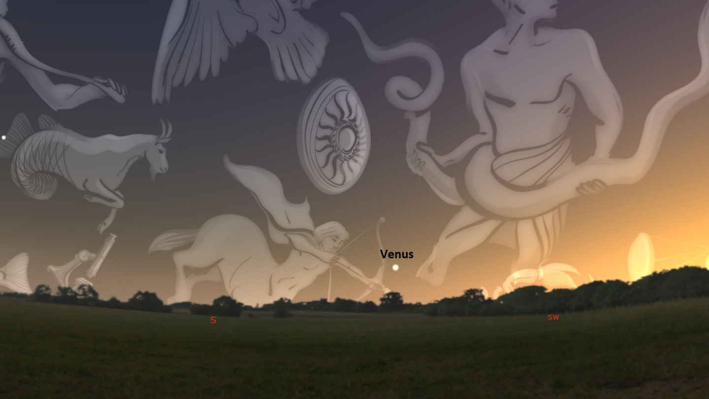 The planet Venus