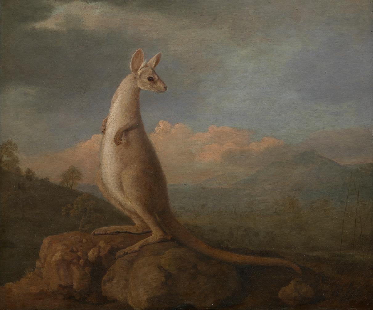 Painting of a kangaroo