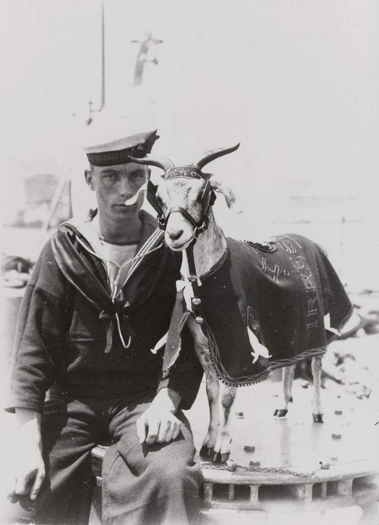 a sailor sitting beside the ships mascot which is a goat