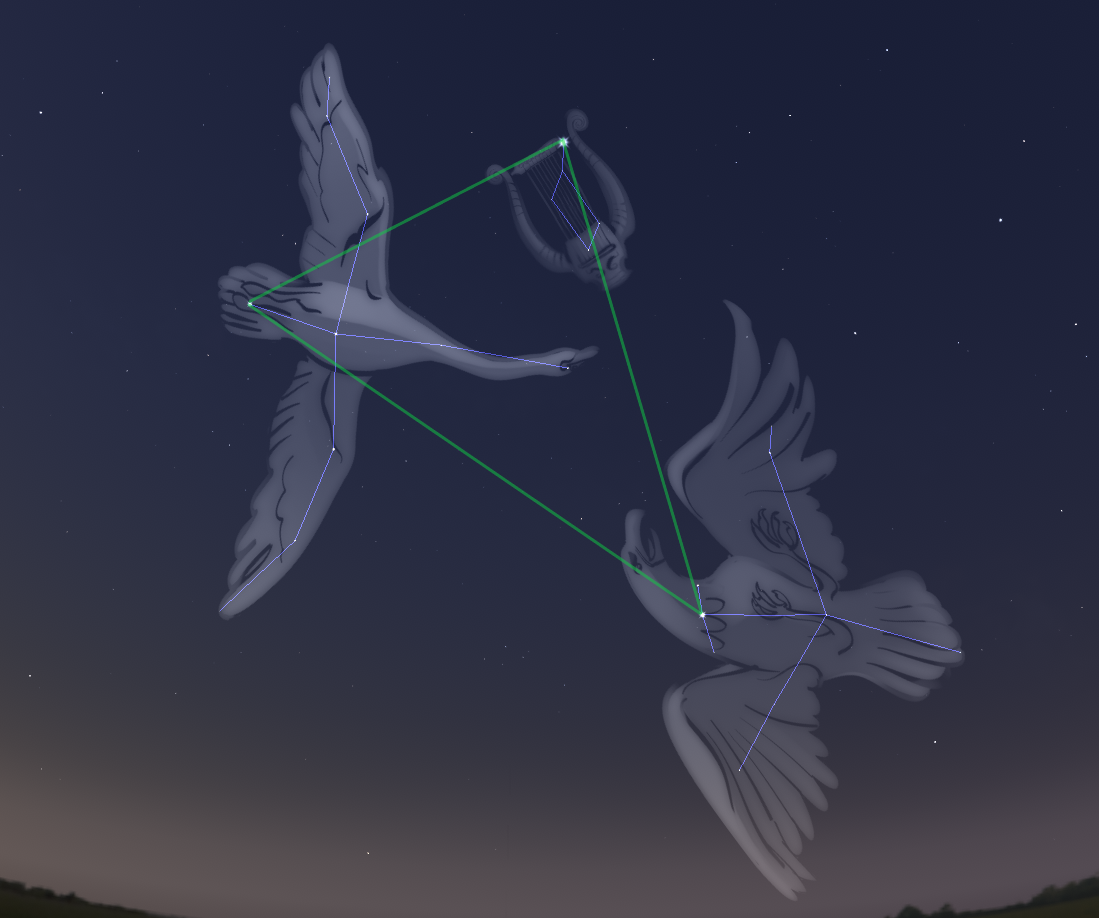 Screenshot of Stellarium. Cygnus, Lyra, and Aquila constellation art is on. Green triangle highlighting the summer triangle.  