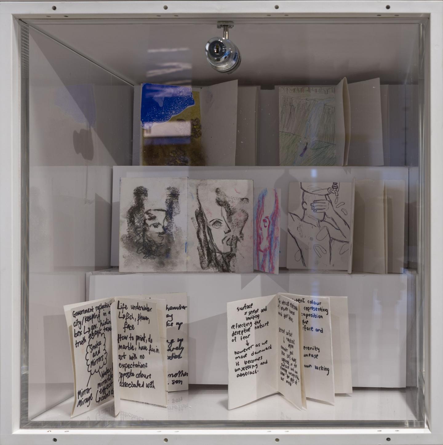 Display of multiple zines with writing and drawings on white paper, displayed in a perspex box