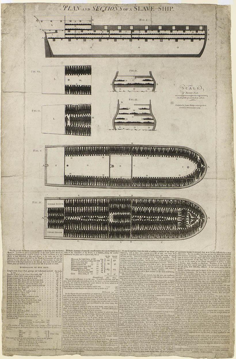 a plan and sections of slave ship Brookes