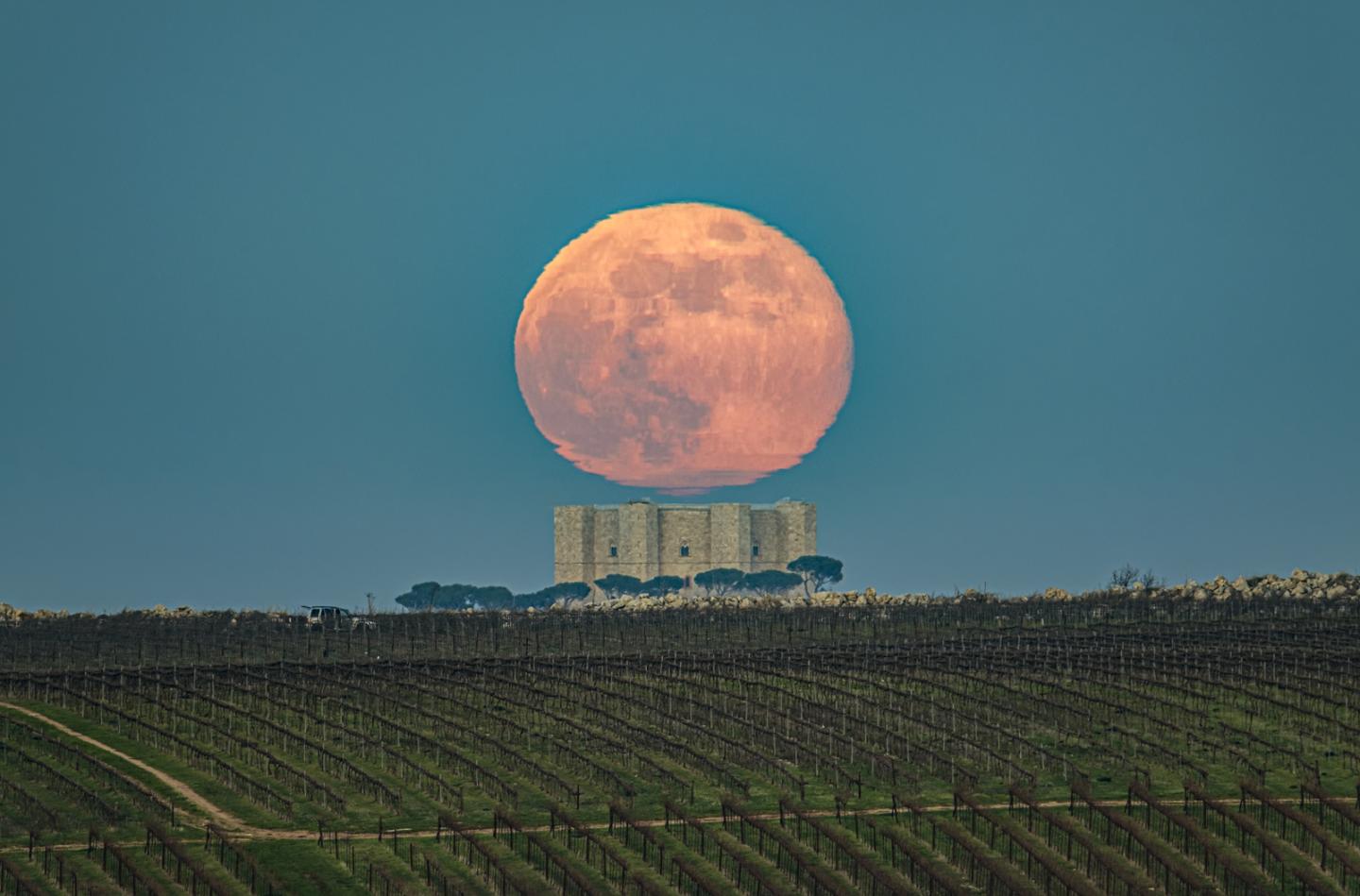 Image showing a large distorted red/orange full moon above a historic castle. In the foreground there is a vineyard with rows and rows of fencing