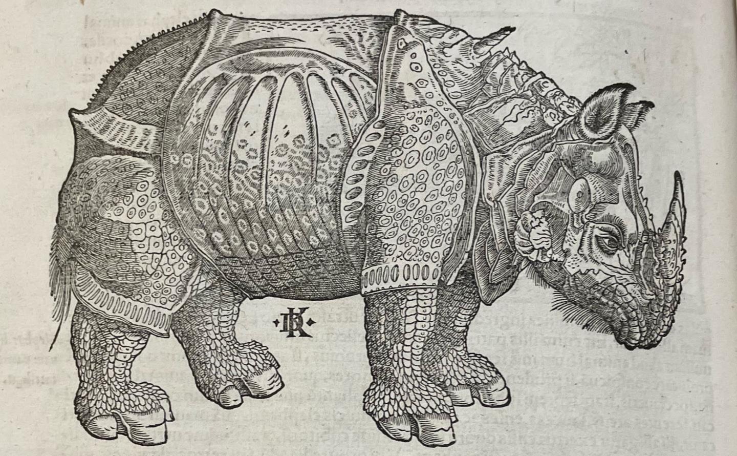 A woodcut print of a rhinoceros from the Latin edition of the Cosmographia