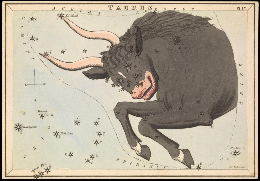 Constellation artwork of Taurus the bull