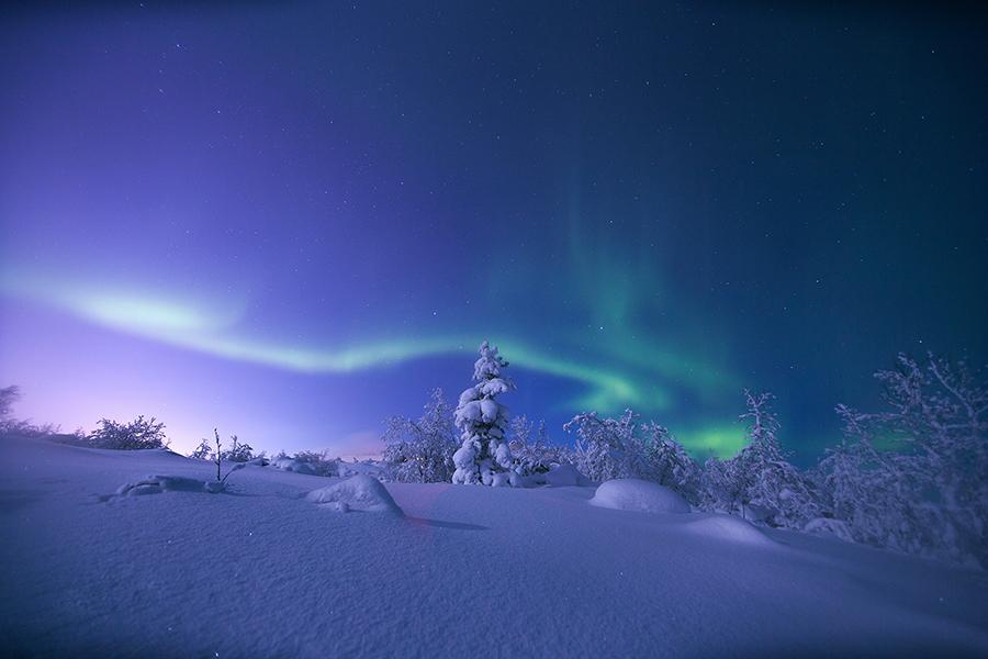 What Causes the Aurora Borealis' Colors?