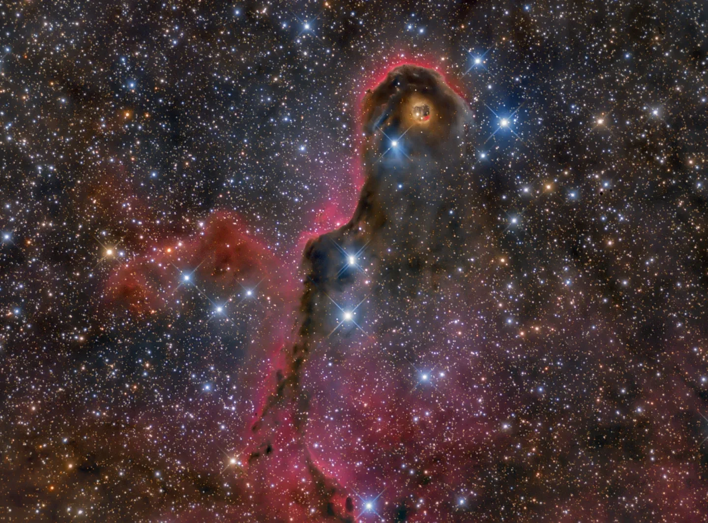 Astronomy photograph of a nebula that resembles an elephant's head, in a starry sky.